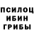 Галлюциногенные грибы MAGIC MUSHROOMS Jyn Erso