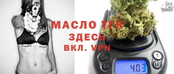 гидра Бородино