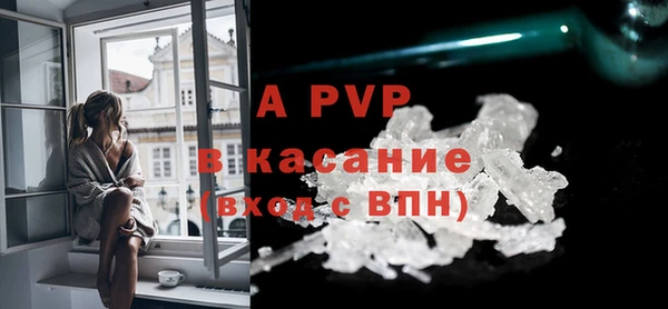 гидра Бородино