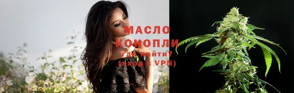 гидра Бородино