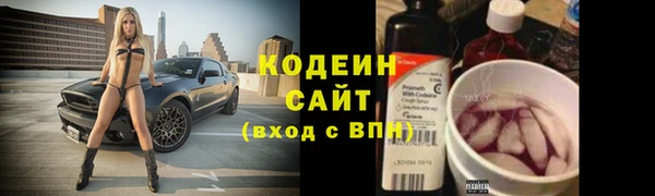 гидра Бородино