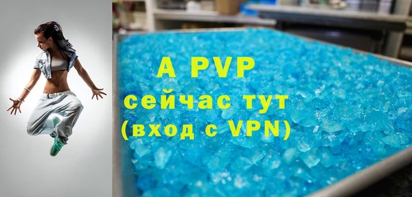 гидра Бородино